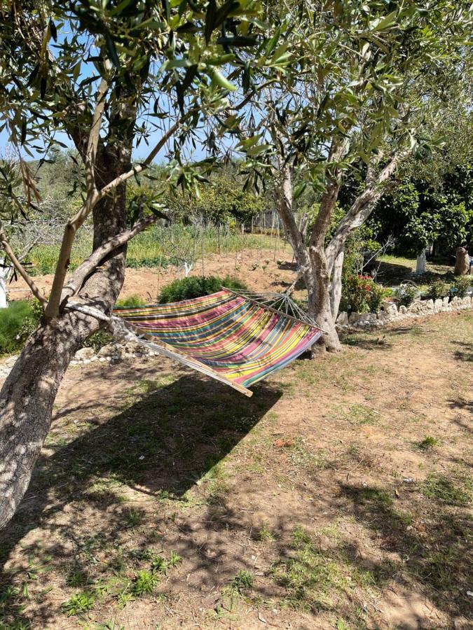 Antigone'S Garden Villa CChalikounas Buitenkant foto